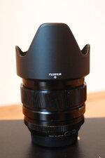 DSCF9365.JPG