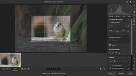 Screenshot 2025-09-13 223040.JPG