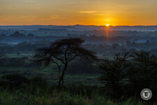 20241029-065551-073021007701-_E1A0915-HDR.jpg 20241029-065551-073021007701-_E1A0915-HDR.jpg