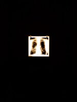 IMG_20250906_114142-01.jpeg