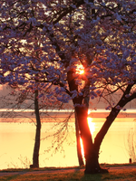 IMG_6735a1.png