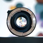 NZ8_0146_RL (Copy).jpg