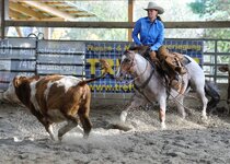 comp_2013_10_13_133848_STS_6768.jpg