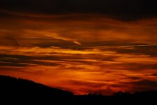 Herbst2013_19.jpg