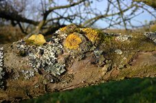 DSC_0972_1.jpg