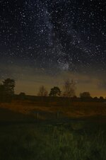 roy032.jpg roy032.jpg