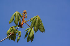 20120403-IMG_2335.jpg