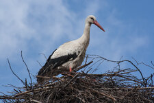 20120422-IMG_2552.jpg