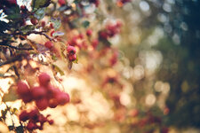 DSCF9845.jpg DSCF9845.jpg