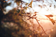 DSCF9792.jpg DSCF9792.jpg