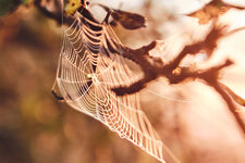 DSCF9792 Kopie.jpg DSCF9792 Kopie.jpg