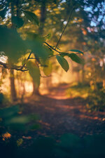 DSCF0057.jpg DSCF0057.jpg