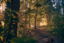 DSCF0067.jpg DSCF0067.jpg