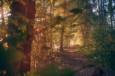 DSCF0066.jpg DSCF0066.jpg