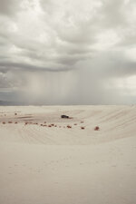 _DSF0918.jpg