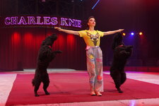 PS2_5783.JPG PS2_5783.JPG