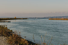 IMG_2551.jpg