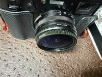 IMG_5795.jpeg
