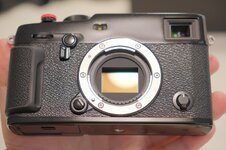 DSCF6816 Large.jpeg DSCF6816 Large.jpeg