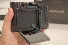 DSCF6817 Large.jpeg DSCF6817 Large.jpeg