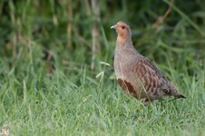 IMG_3003-Bearbeitet-Bearbeitet.jpg
