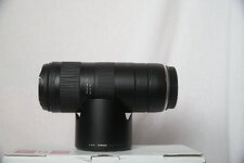 comp_IMG_1235.jpg