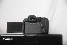 comp_IMG_1238.jpg