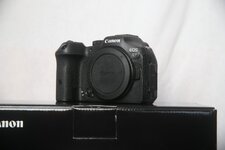 comp_IMG_1241.jpg