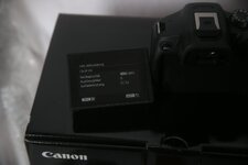 comp_IMG_1245.jpg