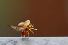 R5II7292-058.jpg