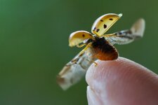 R5II7486-010.jpg