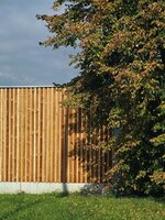 Herbst 20251012_144611.jpg