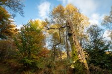 Z63_4280.jpg Z63_4280.jpg