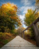 Z63_4287.jpg Z63_4287.jpg