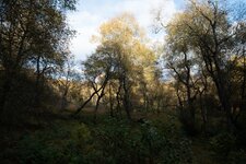 Z63_4259.jpg Z63_4259.jpg