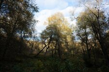 Z63_4262.jpg Z63_4262.jpg