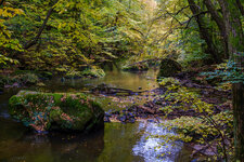 2025-10-12 14-46-26 Wanderung Wilde Wesenitz - Belvedere - Lieblingstal.jpg