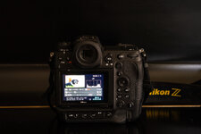 NZF_7390+mkl2.jpg NZF_7390+mkl2.jpg