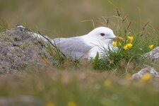 Schottland 2025_ (716).jpg