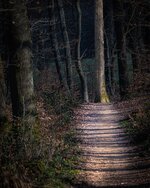 Z63_1088.jpg