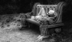 IMG_6727.jpeg