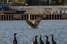 IMG_20251019_094500.jpeg