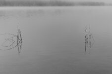 L1020222_DxO.jpg