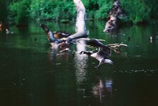R1-05981-013A.jpg