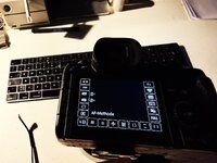 IMG_6196.jpeg