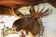 comp_Norwegen 2013 158-0398.jpg