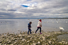 IMG_1491.jpg