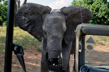 DSC_5178_2.jpg DSC_5178_2.jpg