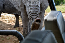 DSC_5190_2.jpg DSC_5190_2.jpg