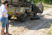 DSC_5132_2.jpg DSC_5132_2.jpg